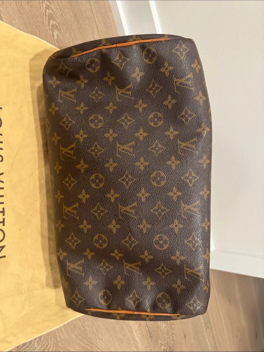 Louis Vuitton classic louis